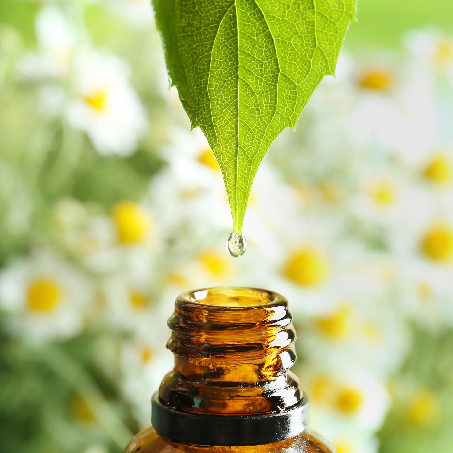 Aromathérapie 5 Aromathérapie, huiles essentielles, Pharmacie Piron, Monnaie